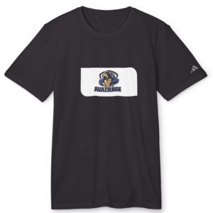 Sport T-Shirt for Athletes, Unisex Sports Tee, Casual Workout Top, Gift for Sports Fans, Team Apparel